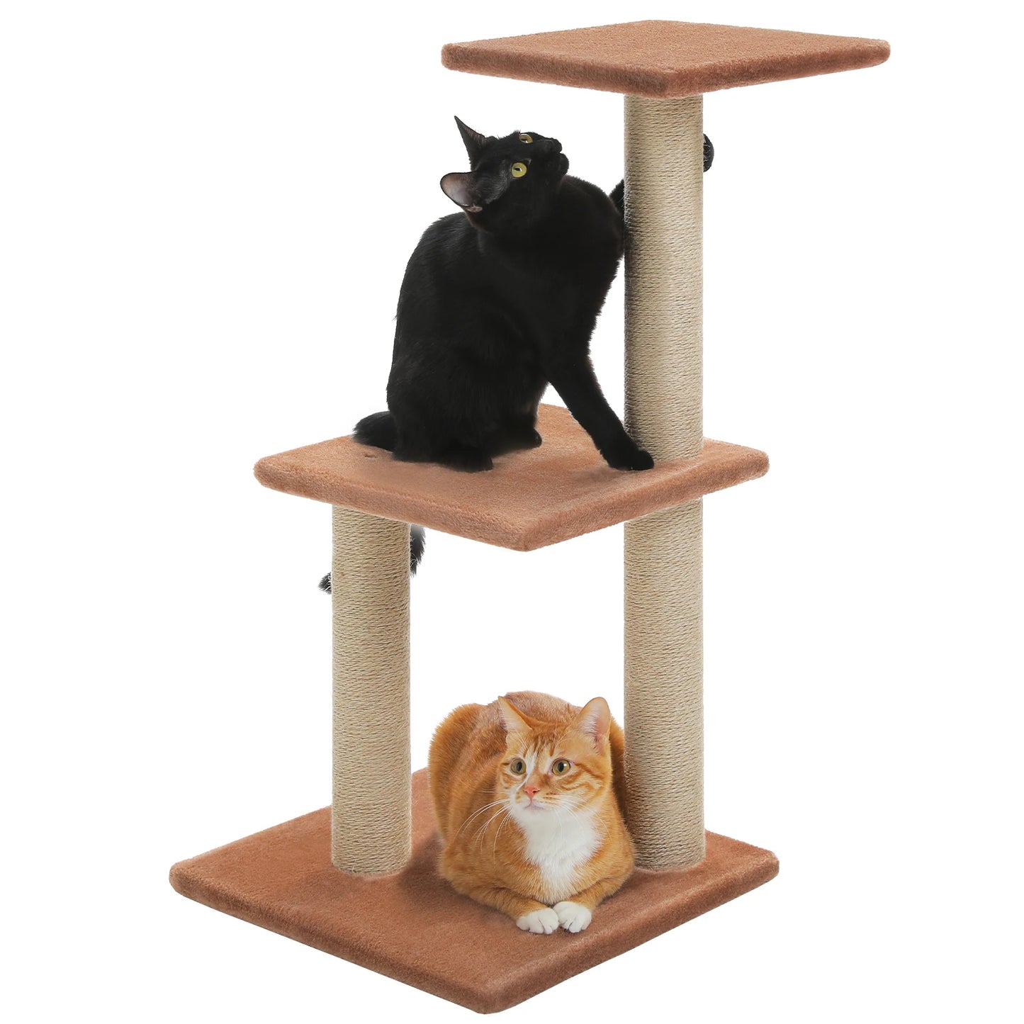 Arbre à chat griffoirs