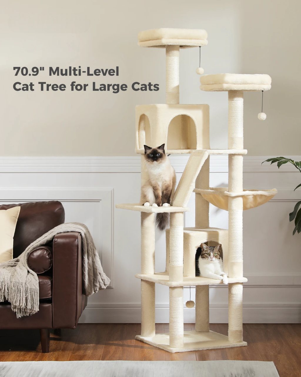 Grand Arbre à Chat d’Intérieur Multi-Niveaux