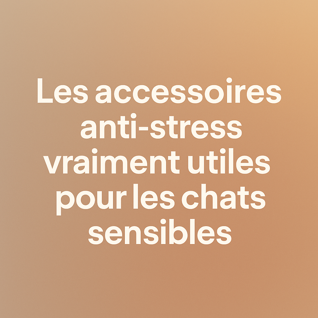 Les accessoires anti-stress vraiment utiles pour les chats sensibles