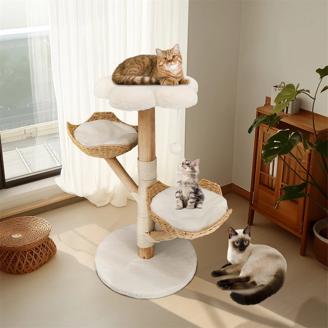 Arbre à chat moderne en bois massif – Centre d’activités design avec griffoirs pour chats d’intérieur