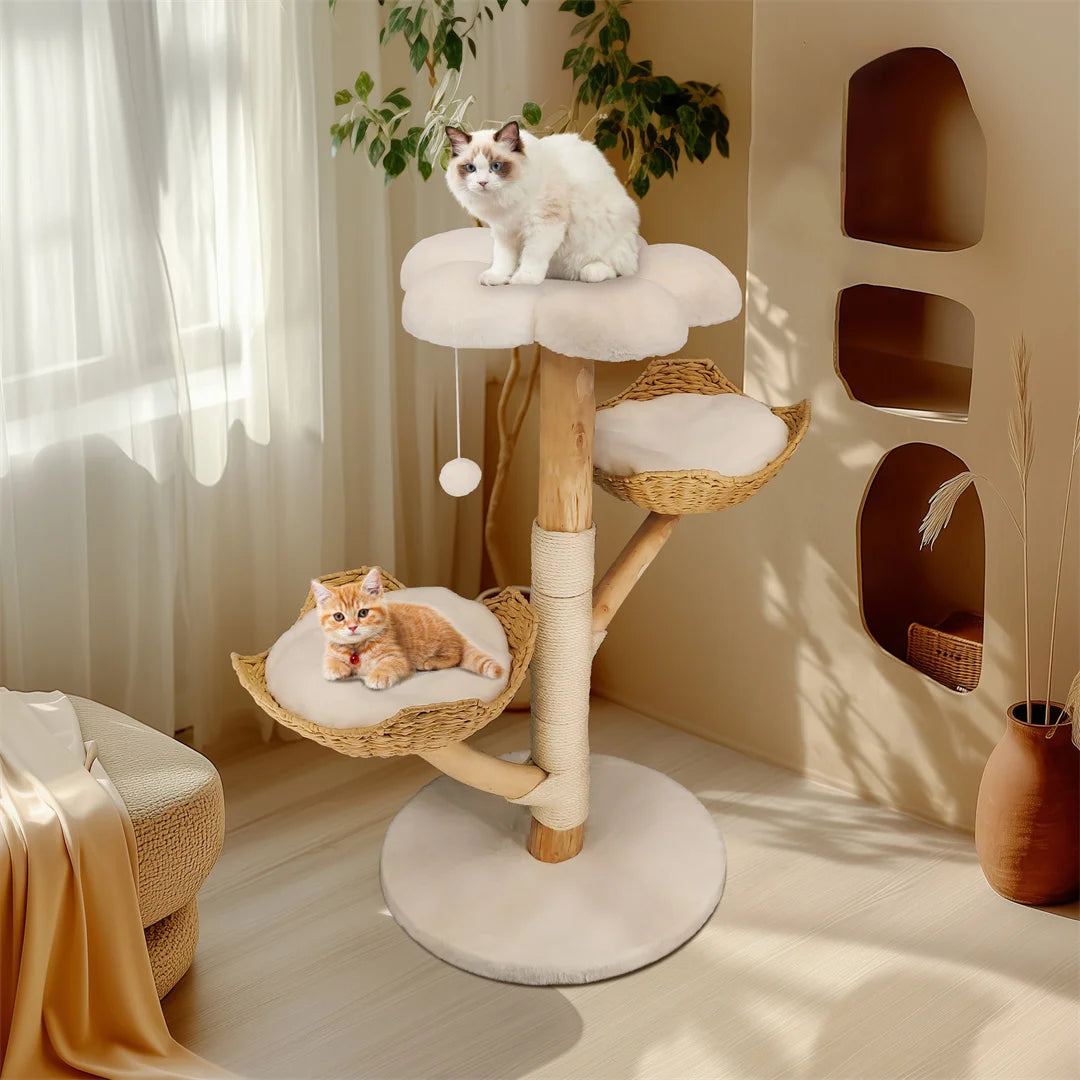 Arbre à chat moderne en bois massif – Centre d’activités design avec griffoirs pour chats d’intérieur