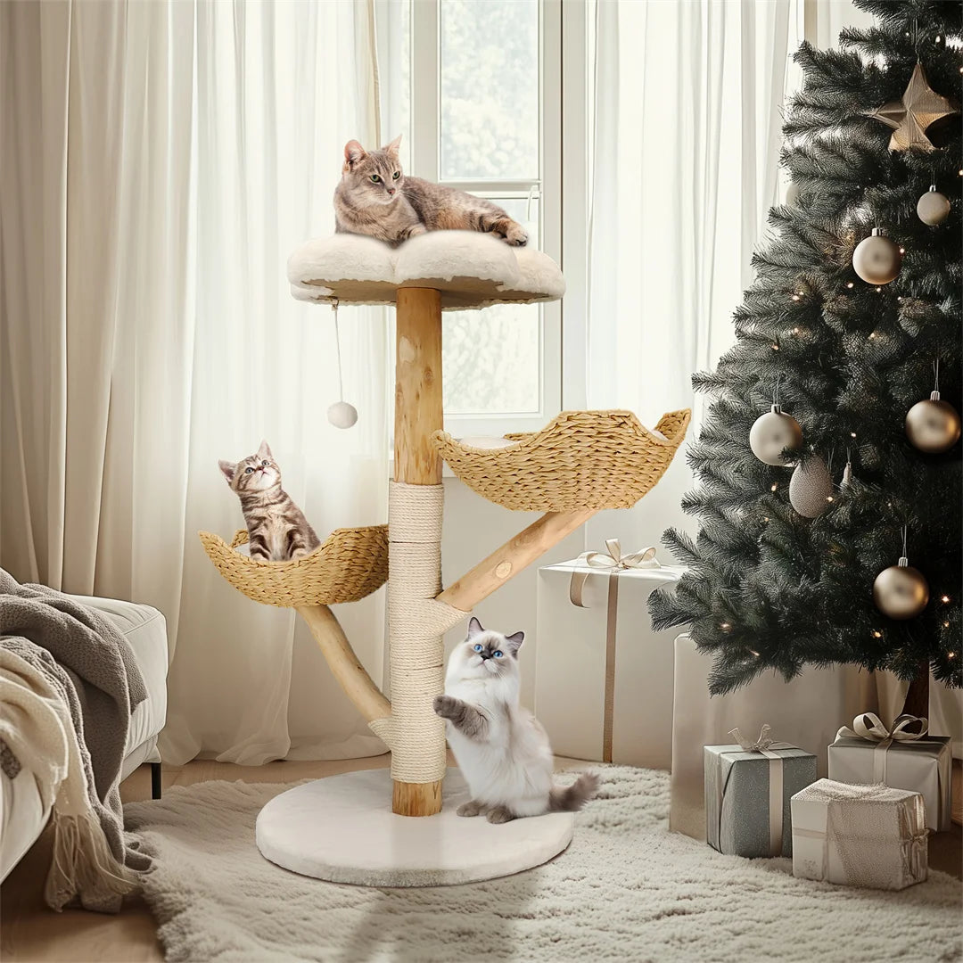 Arbre à chat moderne en bois massif – Centre d’activités design avec griffoirs pour chats d’intérieur