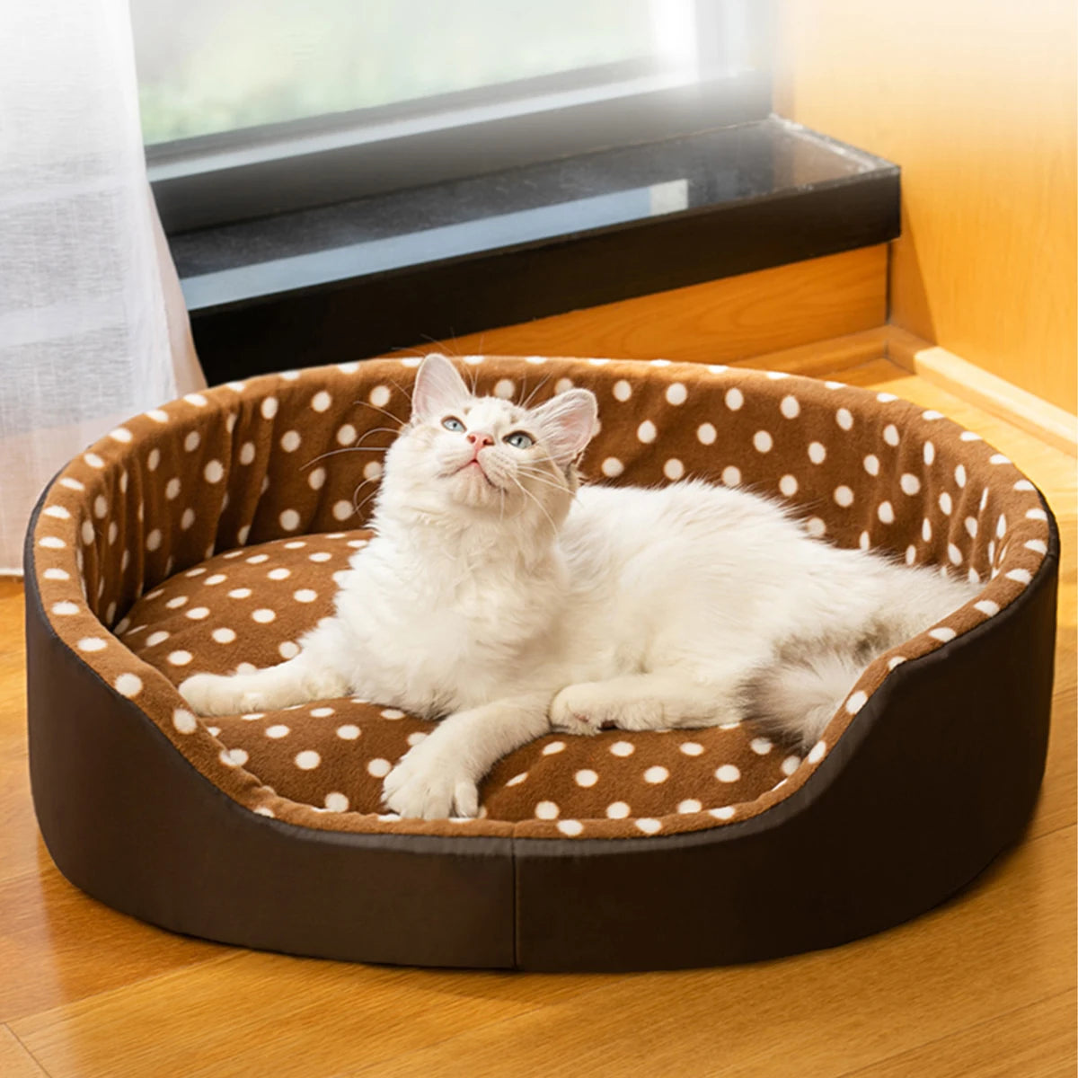 Coussin en mousse pour chat – Lit moelleux et confortable