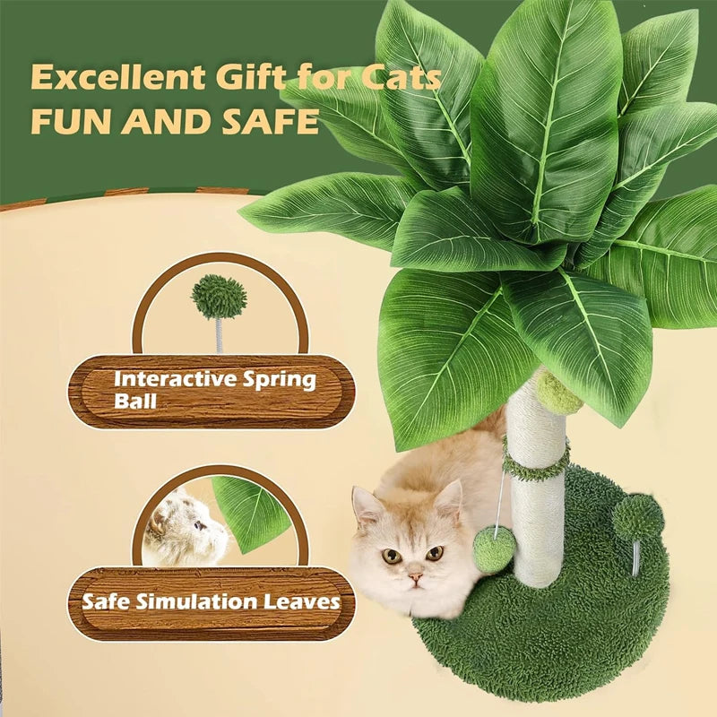 Griffoir Palmier pour chat