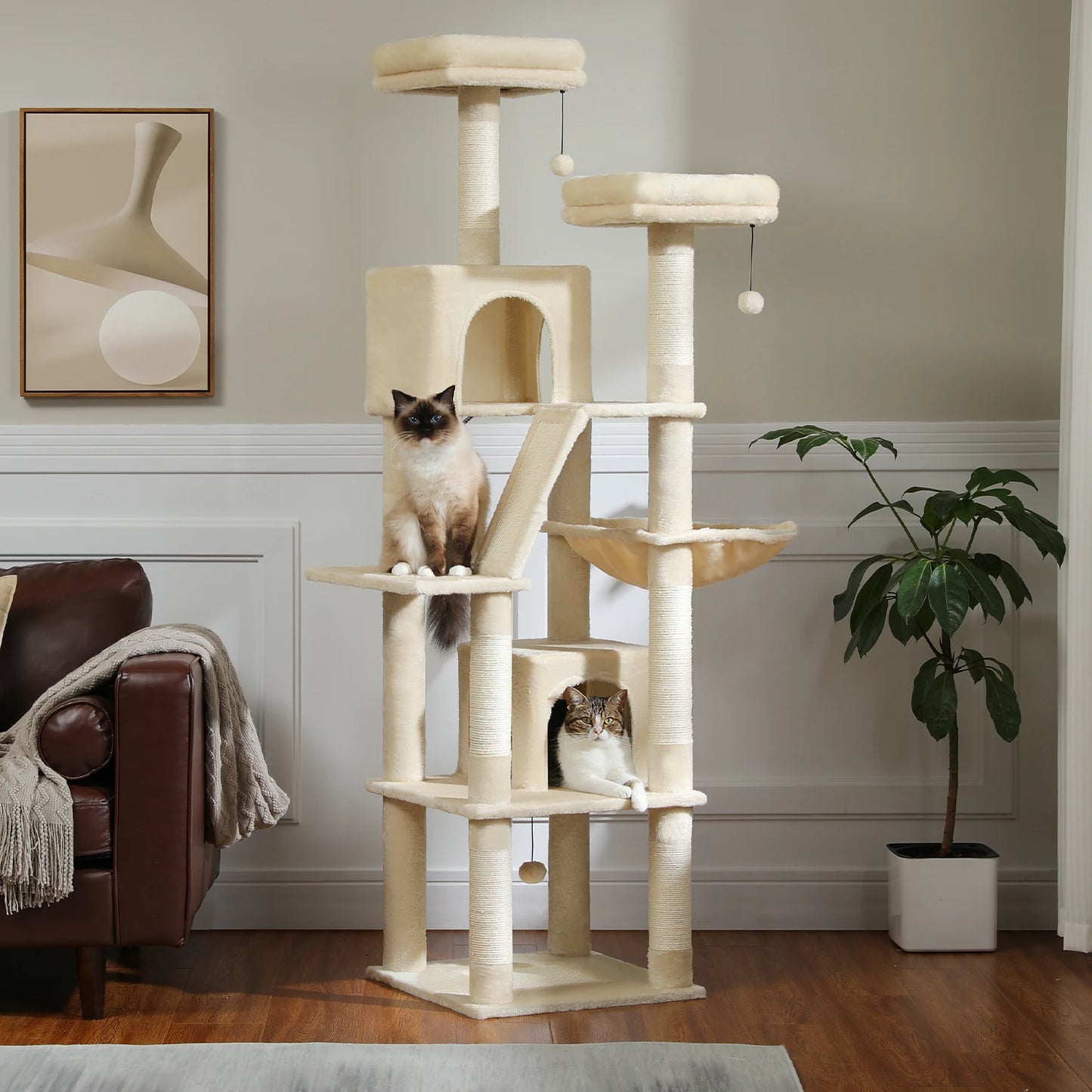 Grand Arbre à Chat d’Intérieur Multi-Niveaux