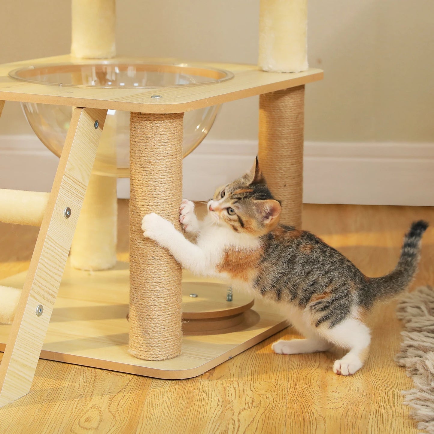 Arbre à chat en bois avec condo, hamac et griffoirs sisal XXL
