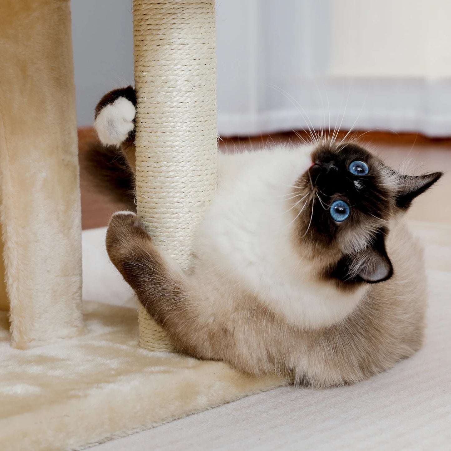 Tour en bois pour chats avec double condos – Perchoir spacieux, poteaux à griffer en sisal et jouets suspendus remplaçables