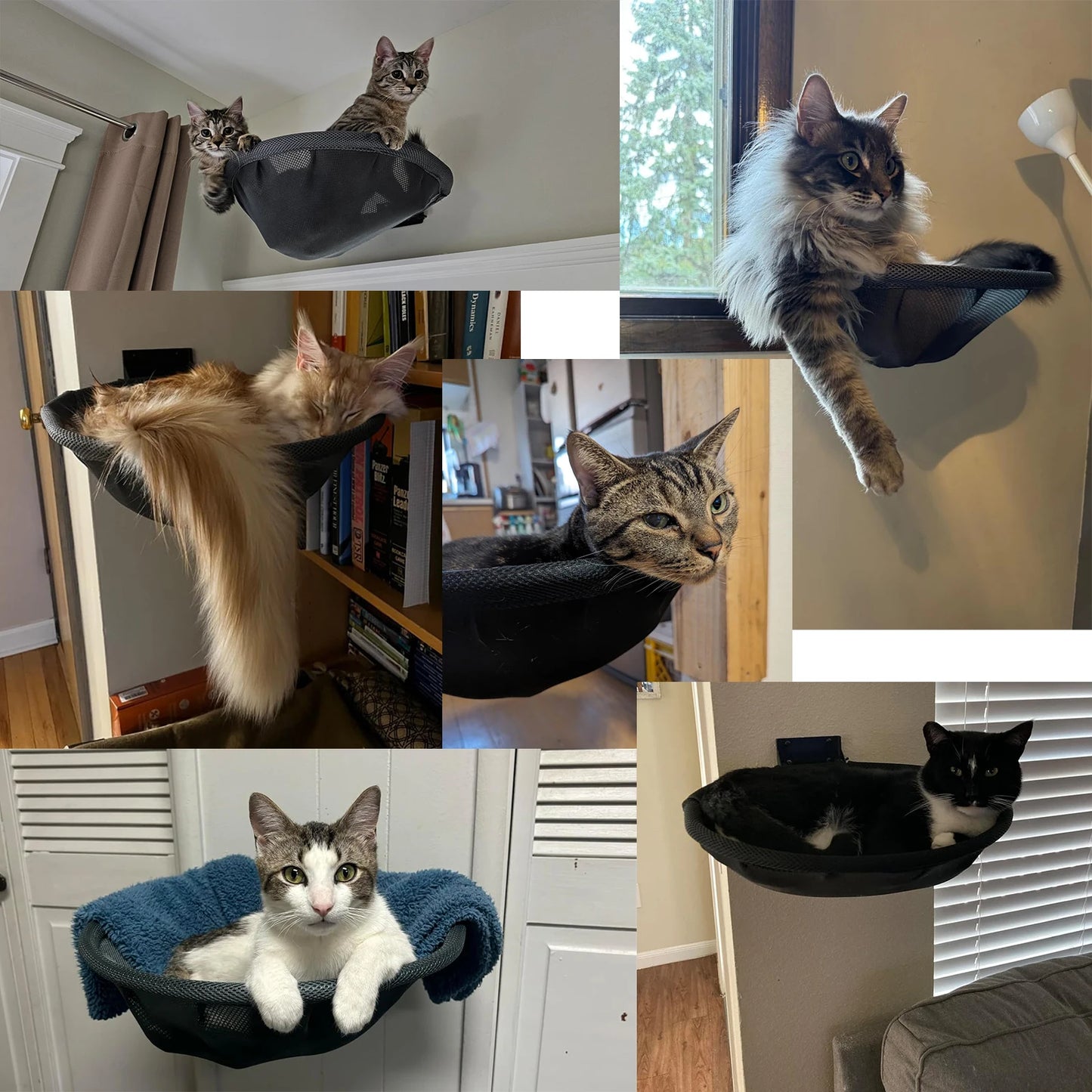 Hamac mural pliable pour chat – Lit 42 cm stable et respirant