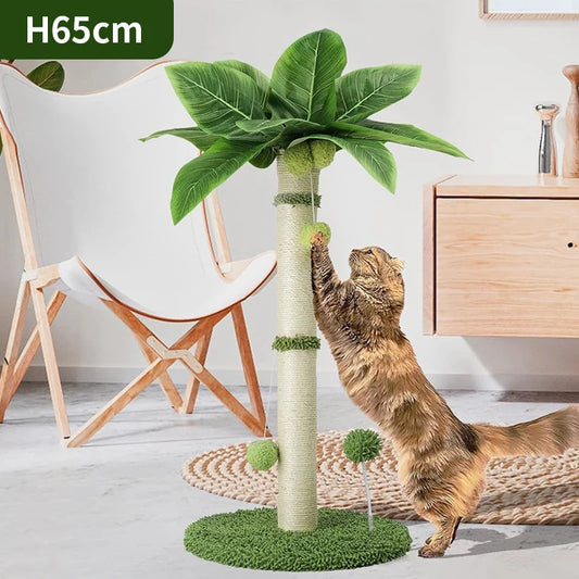 Griffoir Palmier pour chat
