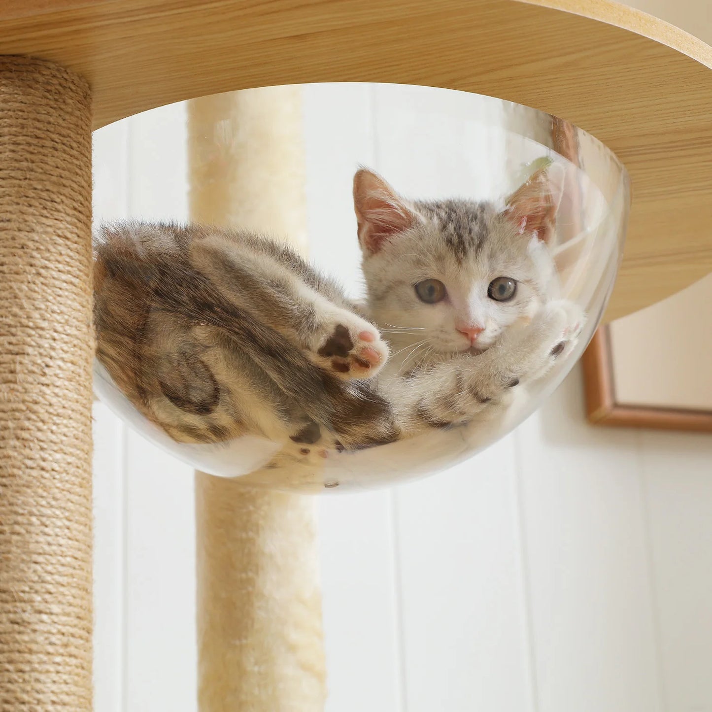 Tour en bois multi-niveaux pour chats d’intérieur – Maison spacieuse, hamac, perchoir, griffoirs en sisal et jouets intégrés