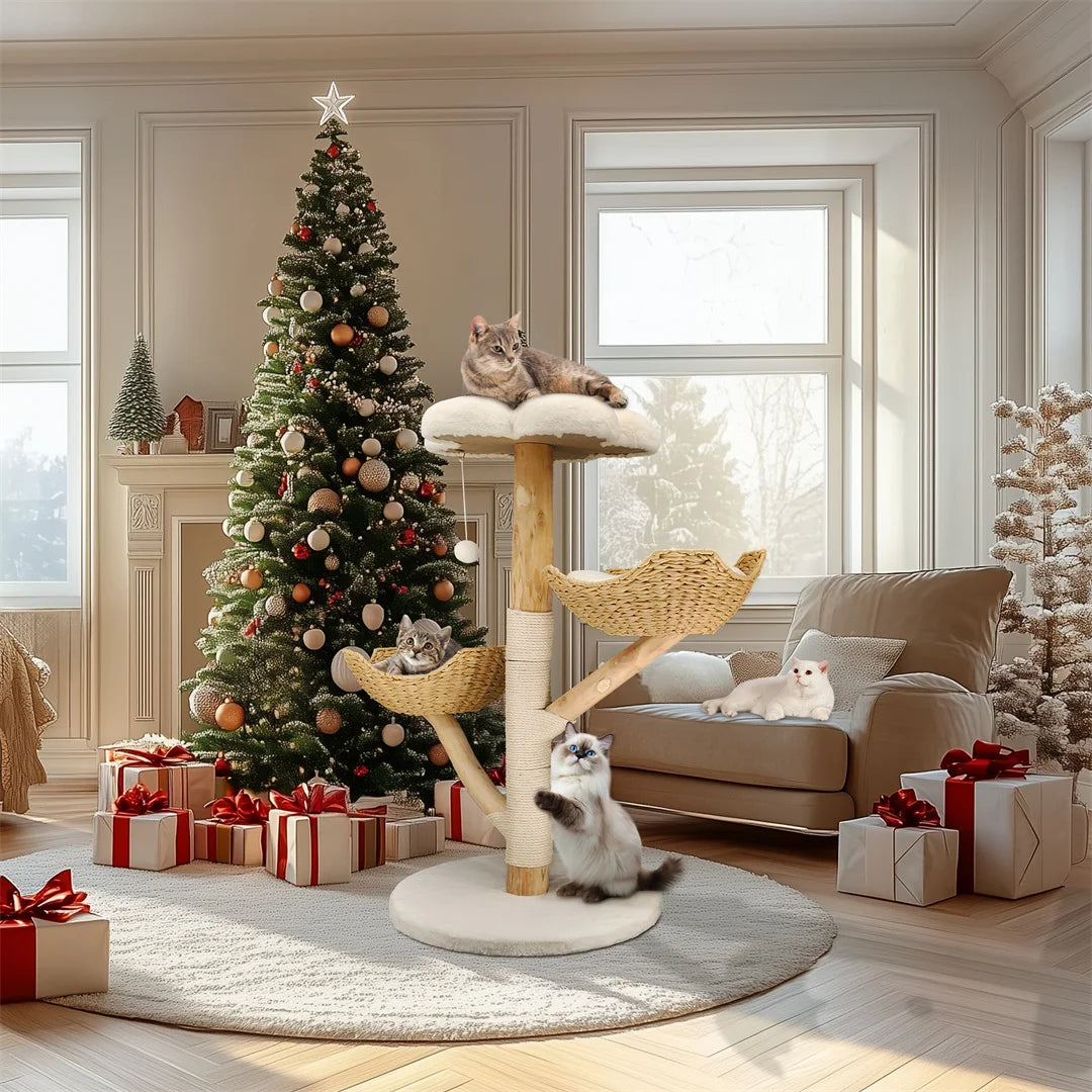 Arbre à chat moderne en bois massif – Centre d’activités design avec griffoirs pour chats d’intérieur