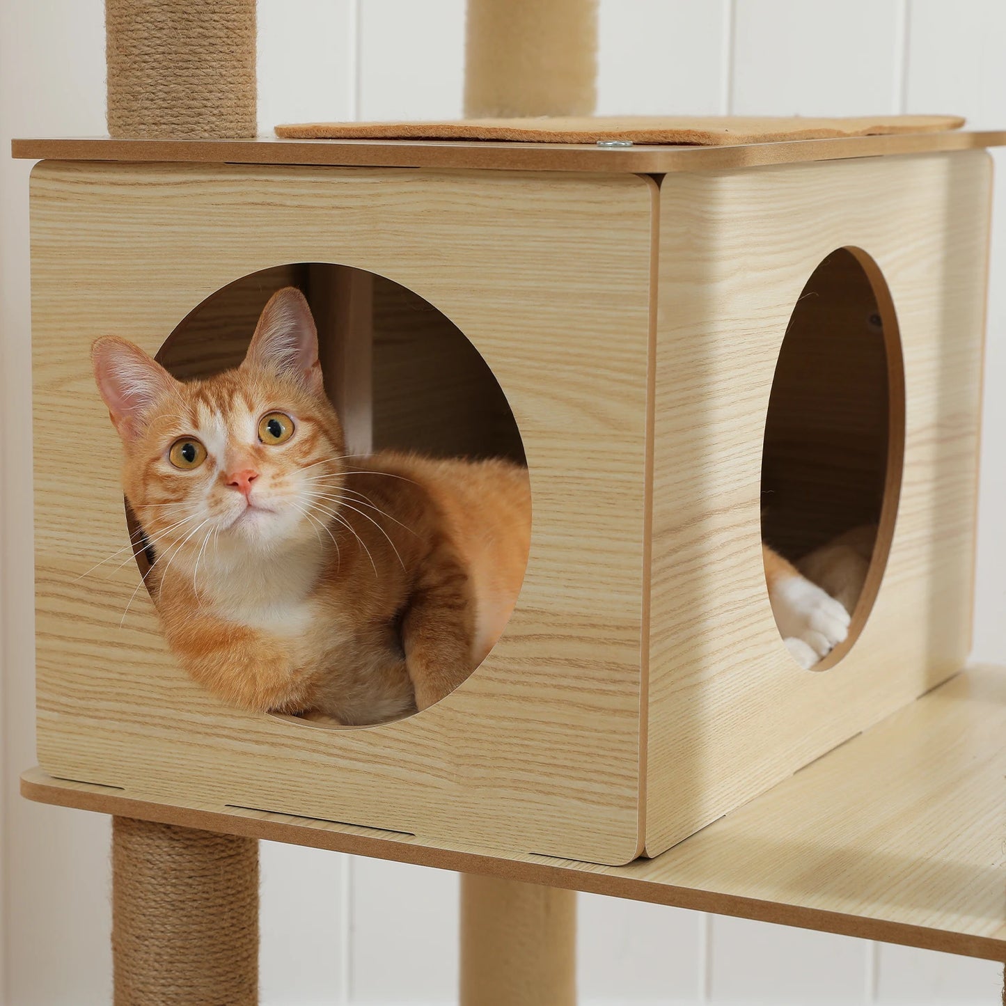 Tour en bois multi-niveaux pour chats d’intérieur – Maison spacieuse, hamac, perchoir, griffoirs en sisal et jouets intégrés