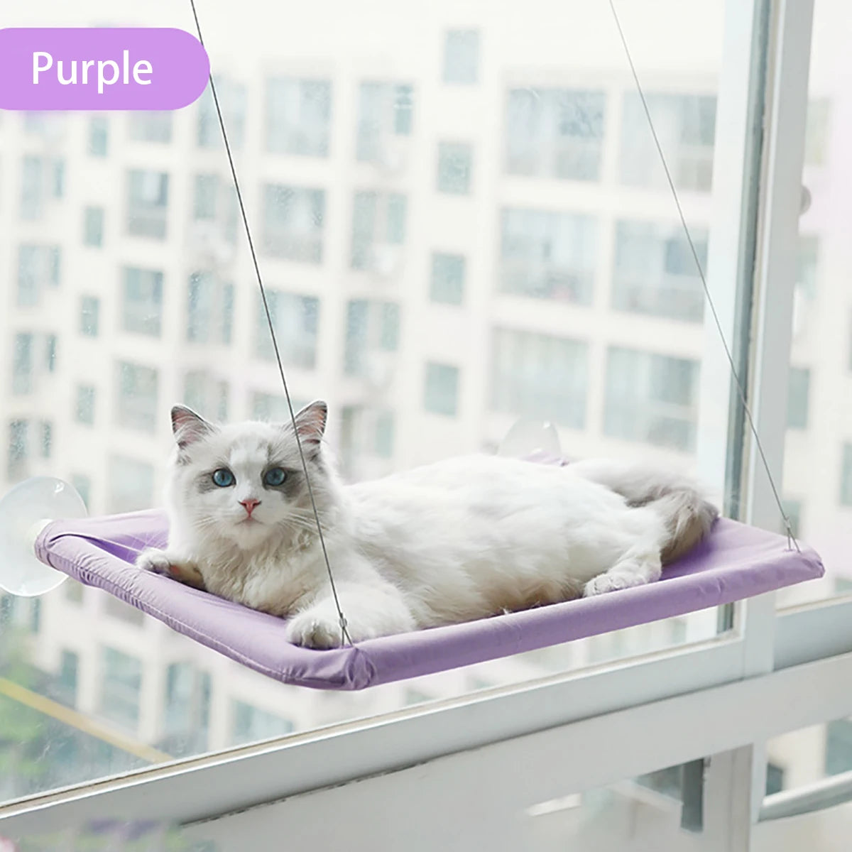 Hamac de fenêtre pour chat – Lit suspendu stable et confortable