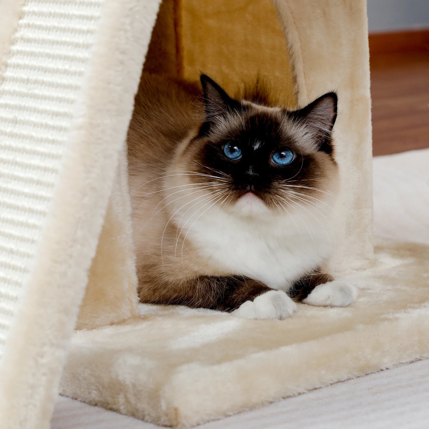 Tour en bois pour chats avec double condos – Perchoir spacieux, poteaux à griffer en sisal et jouets suspendus remplaçables