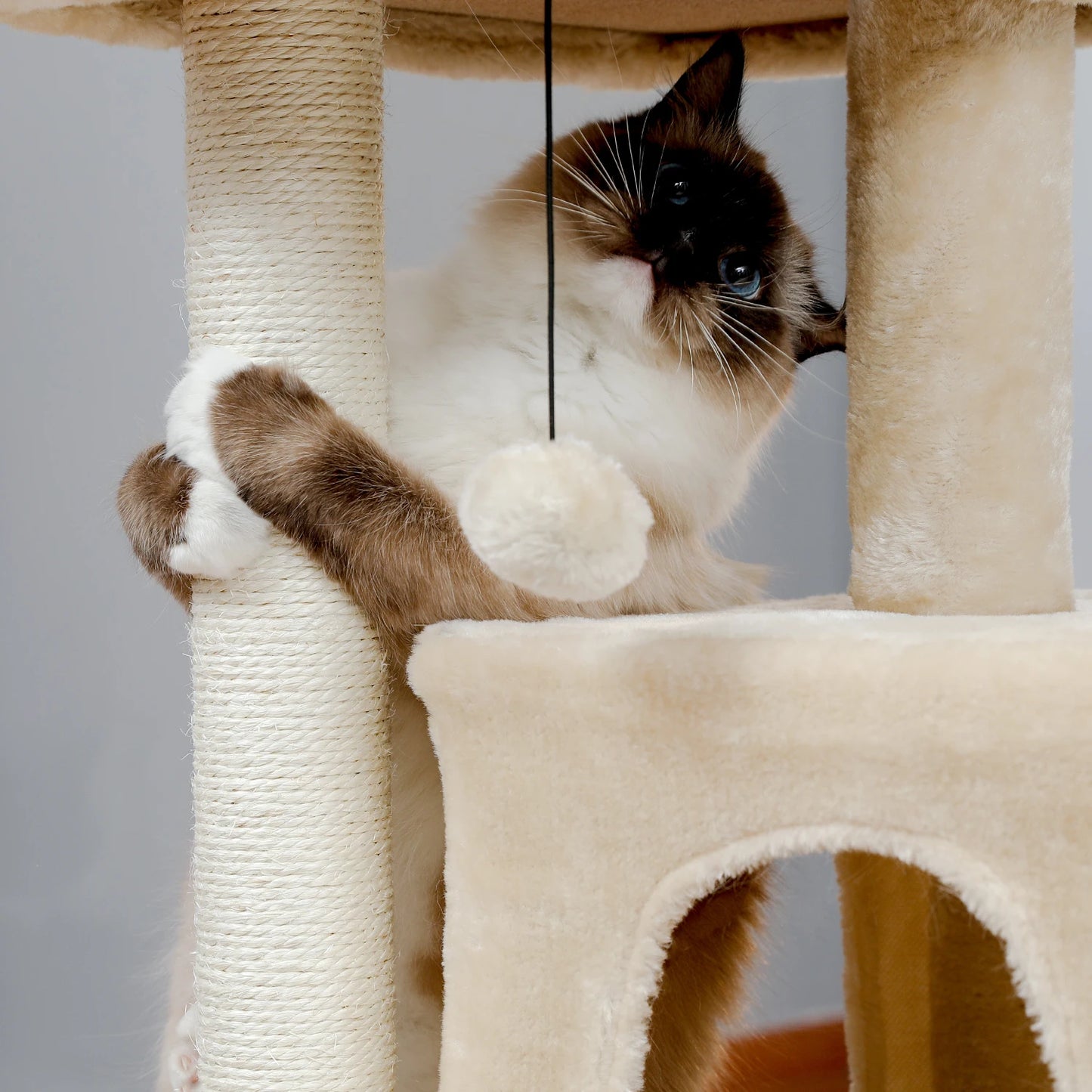 Tour en bois pour chats avec double condos – Perchoir spacieux, poteaux à griffer en sisal et jouets suspendus remplaçables