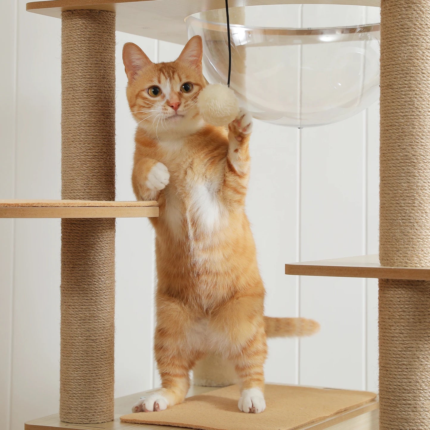 Tour en bois multi-niveaux pour chats d’intérieur – Maison spacieuse, hamac, perchoir, griffoirs en sisal et jouets intégrés