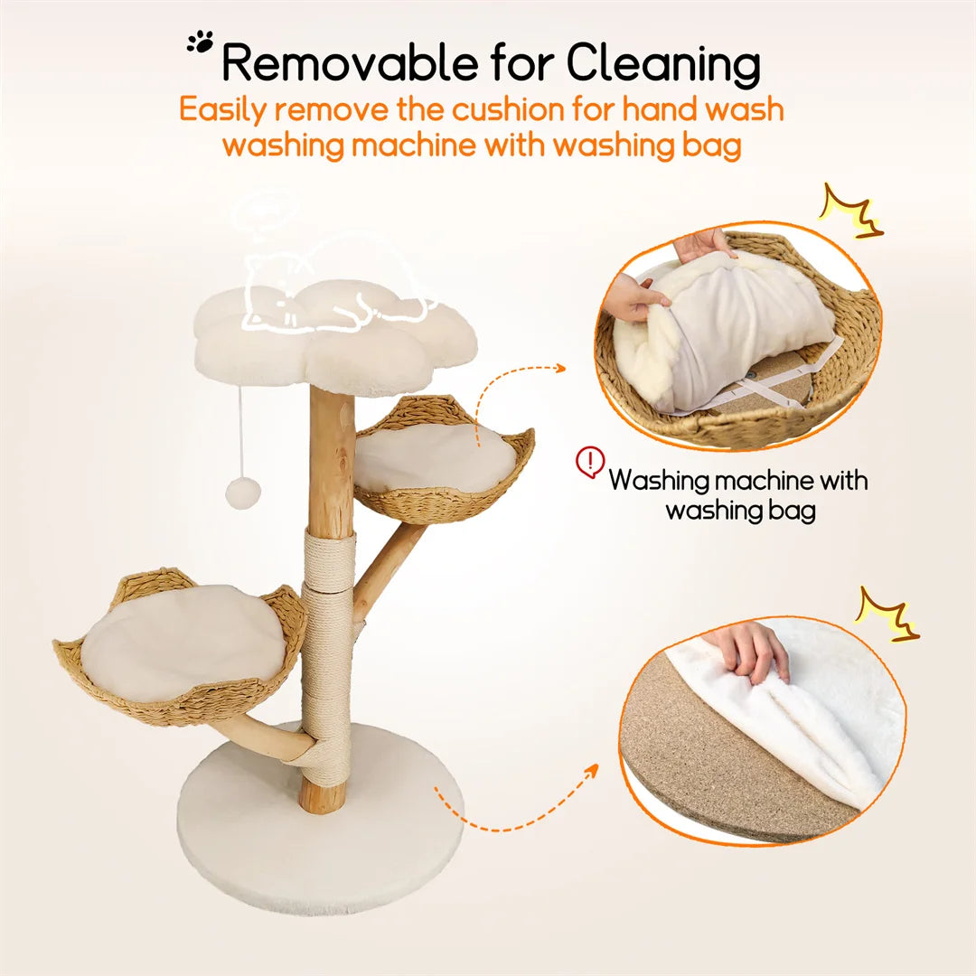 Arbre à chat moderne en bois massif – Centre d’activités design avec griffoirs pour chats d’intérieur