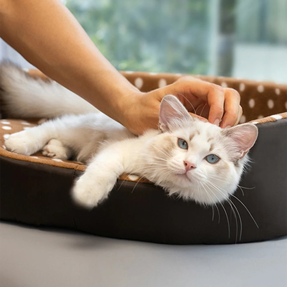 Coussin en mousse pour chat – Lit moelleux et confortable