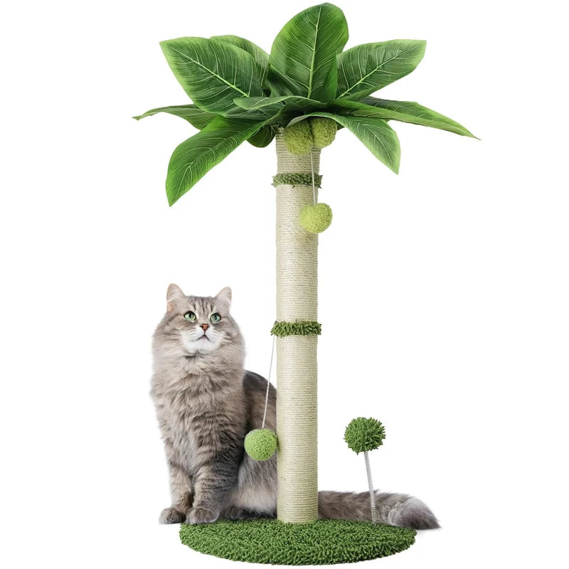 Griffoir Palmier pour chat