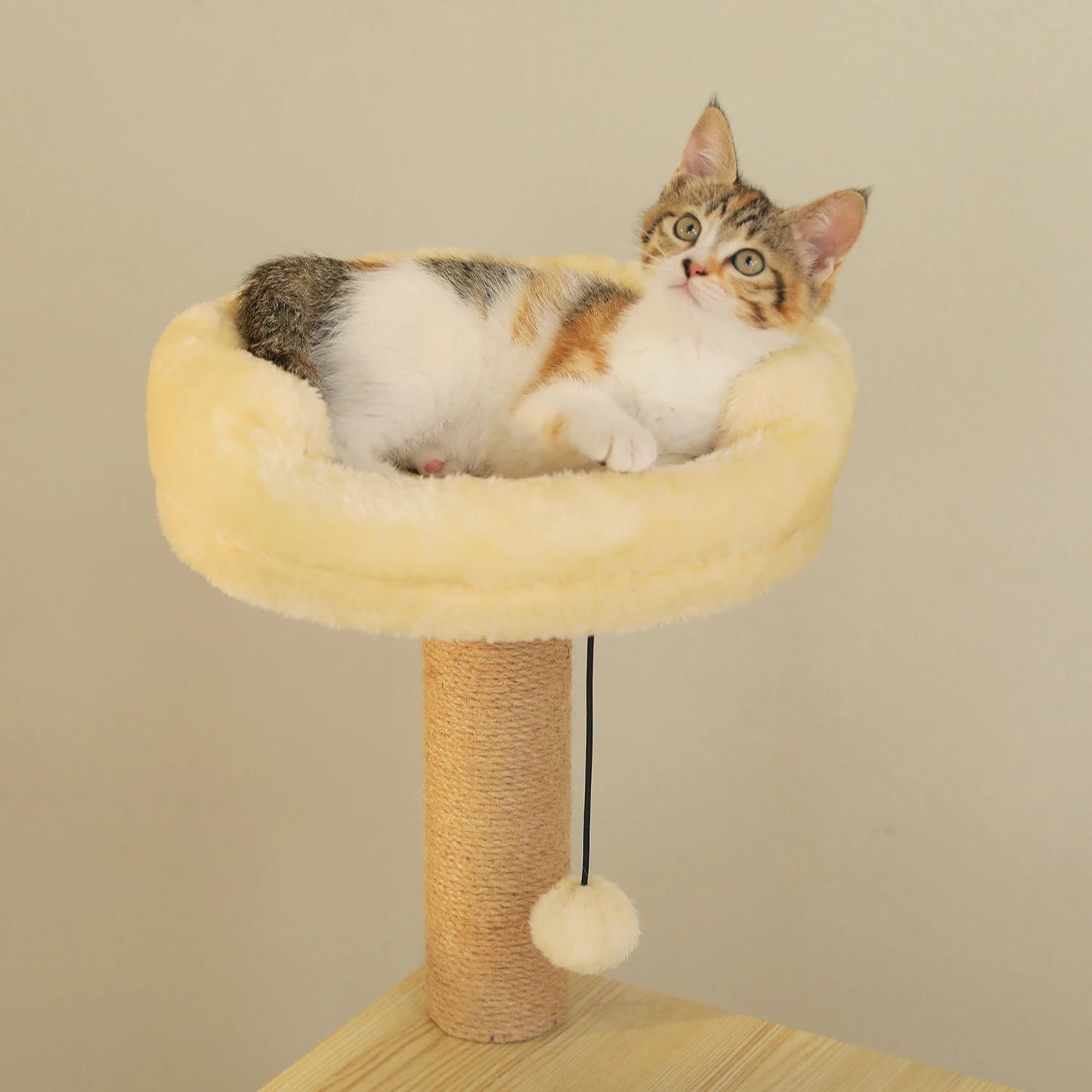 Arbre à chat en bois avec condo, hamac et griffoirs sisal XXL