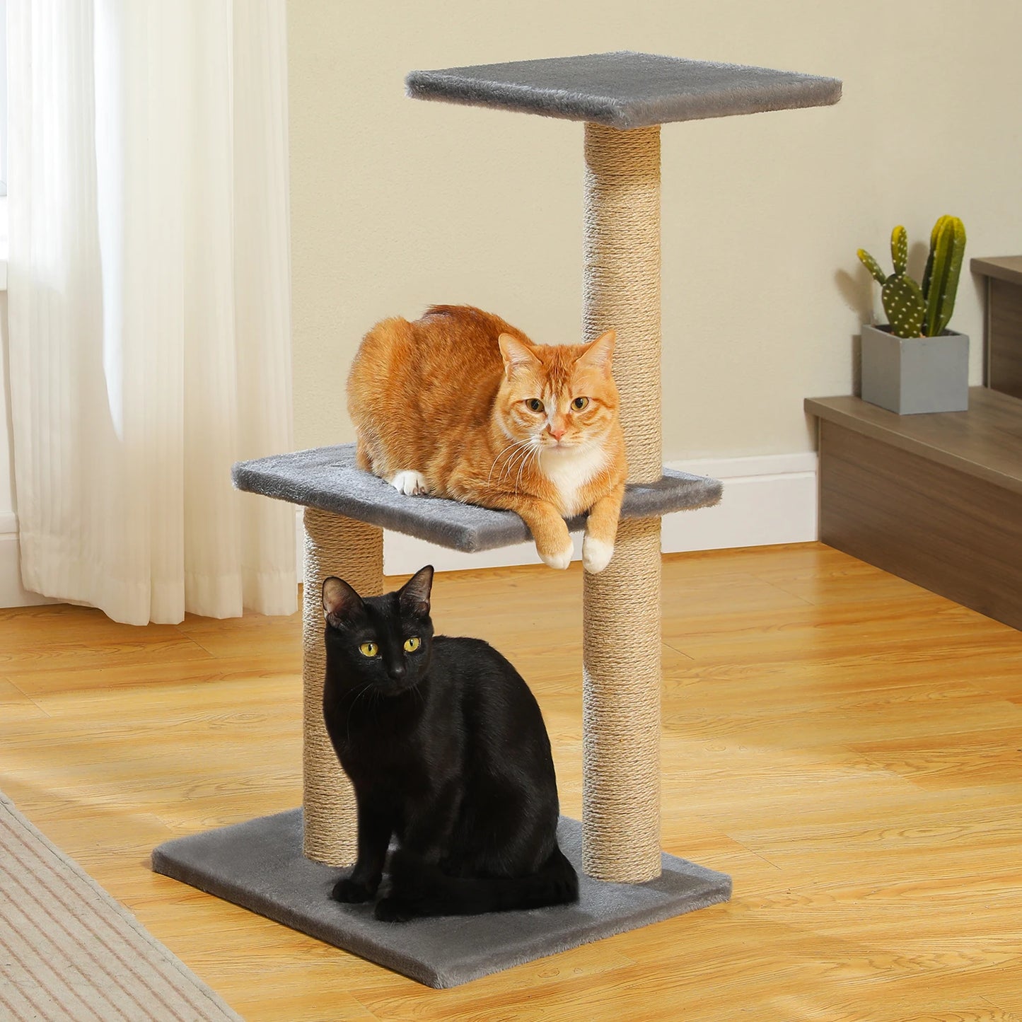 Arbre à chat griffoirs