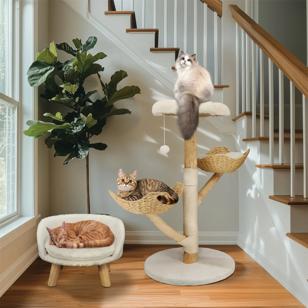 Arbre à chat moderne en bois massif – Centre d’activités design avec griffoirs pour chats d’intérieur