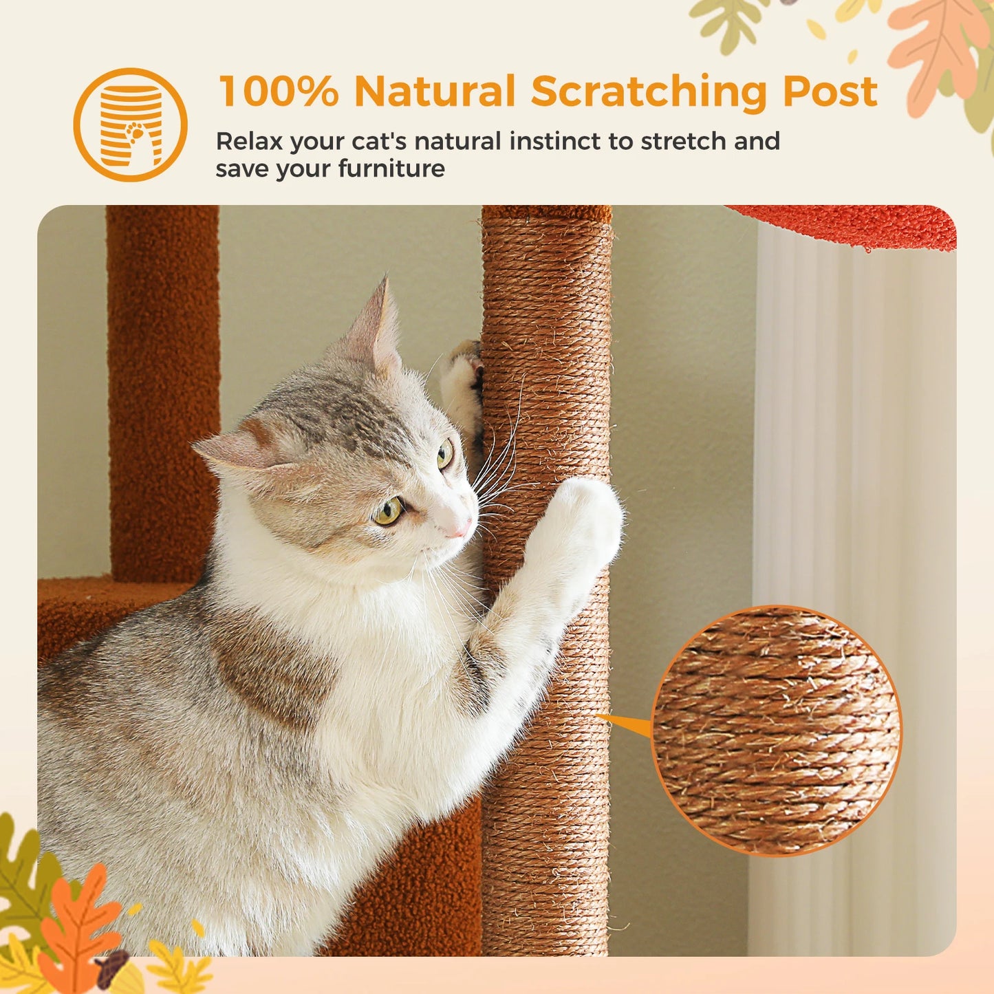 Arbre à chat fixation plafond – Tour avec griffoirs en sisal, condo douillet, hamac et hauteur réglable