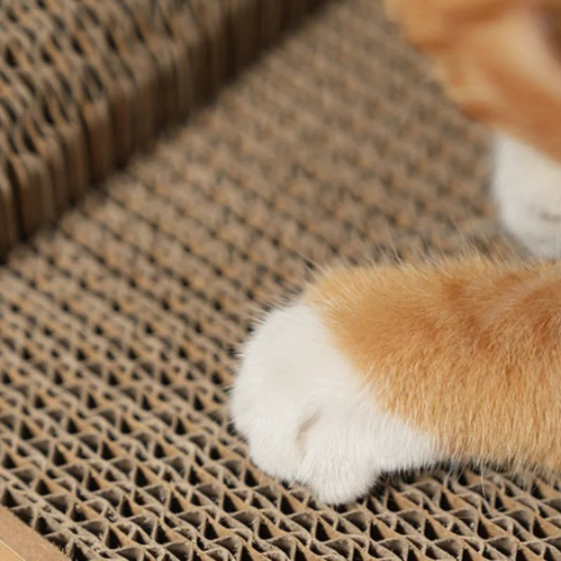 Panier griffoir design et robuste pour chats exigeants