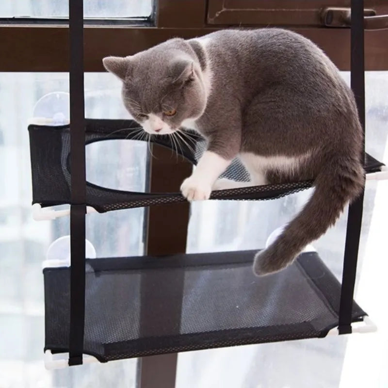 Hamac de fenêtre double pour chat – Lit suspendu avec ventouses solides