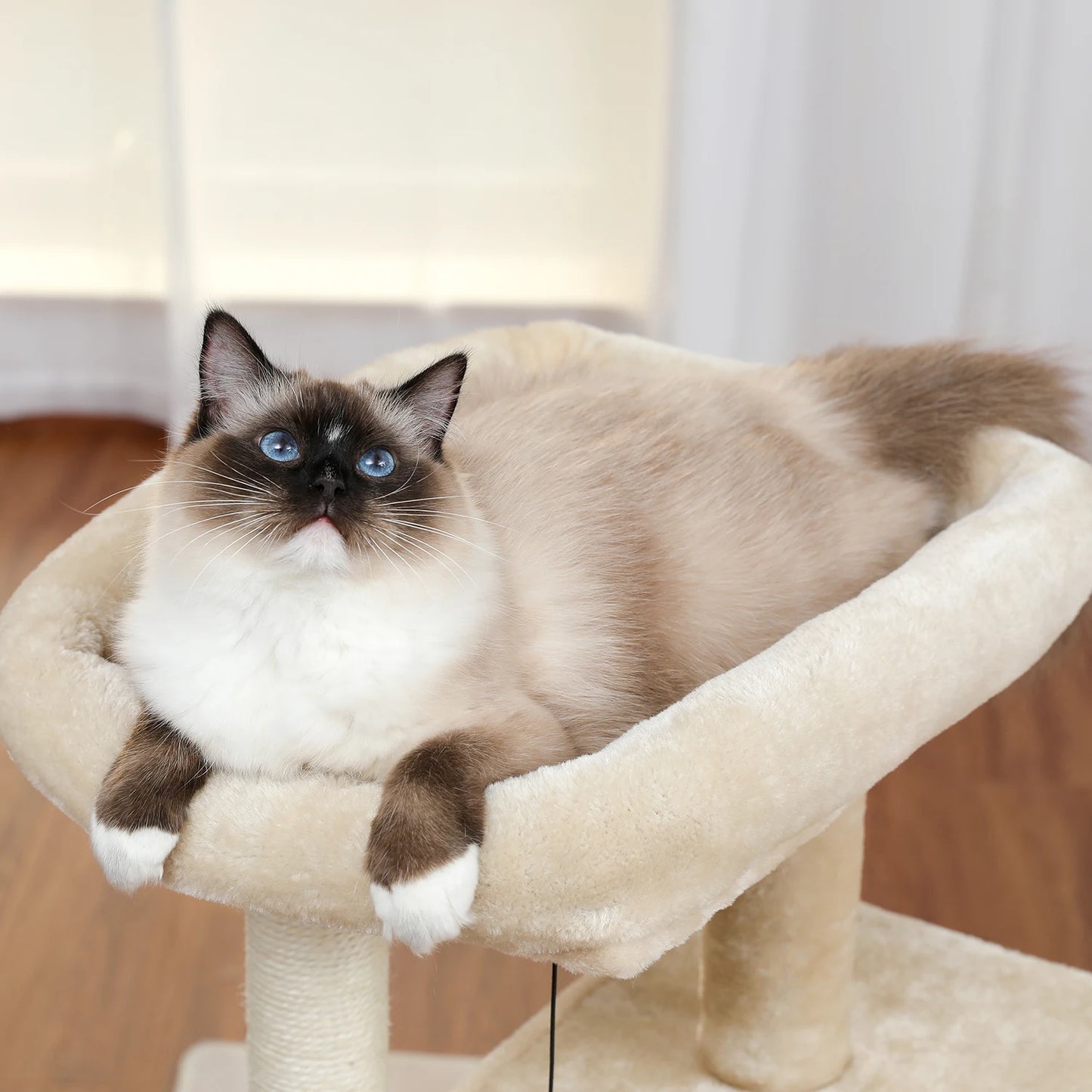 Tour en bois pour chats avec double condos – Perchoir spacieux, poteaux à griffer en sisal et jouets suspendus remplaçables
