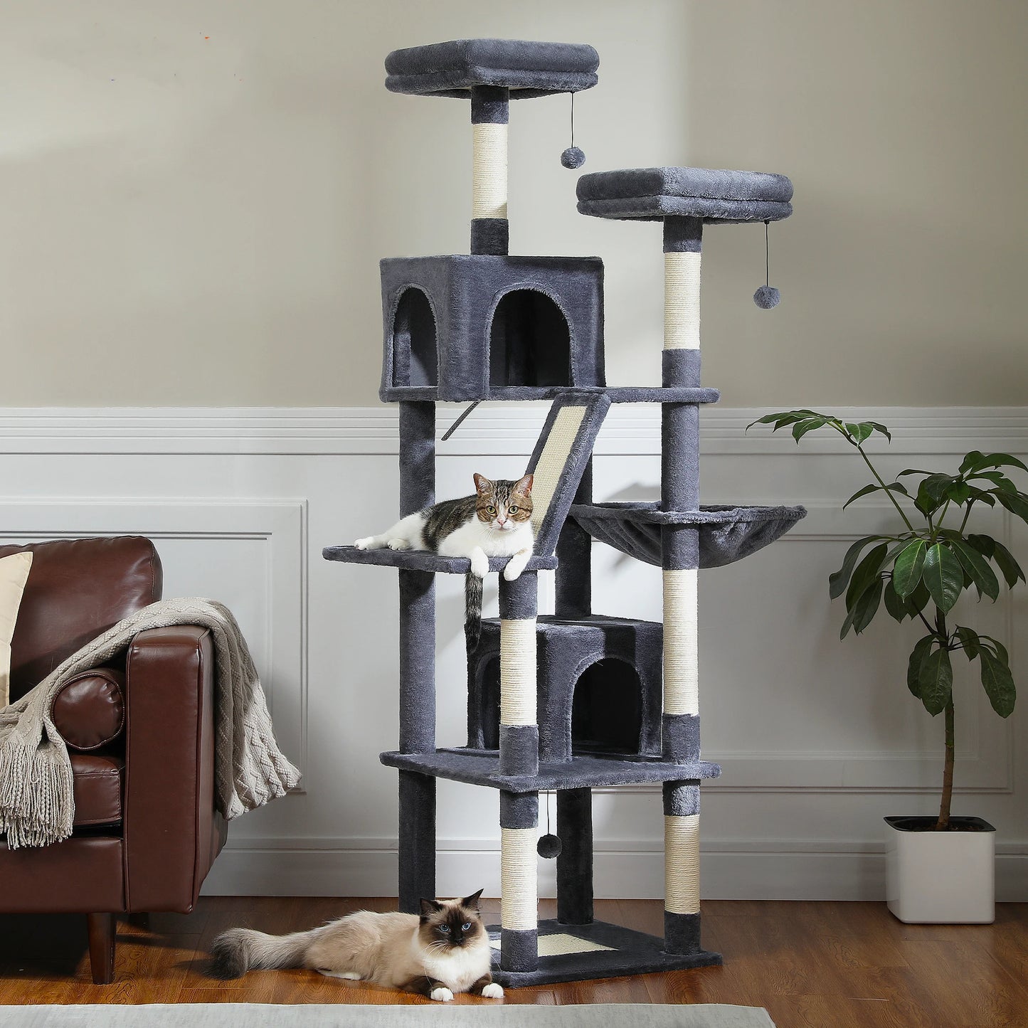 Grand Arbre à Chat d’Intérieur Multi-Niveaux