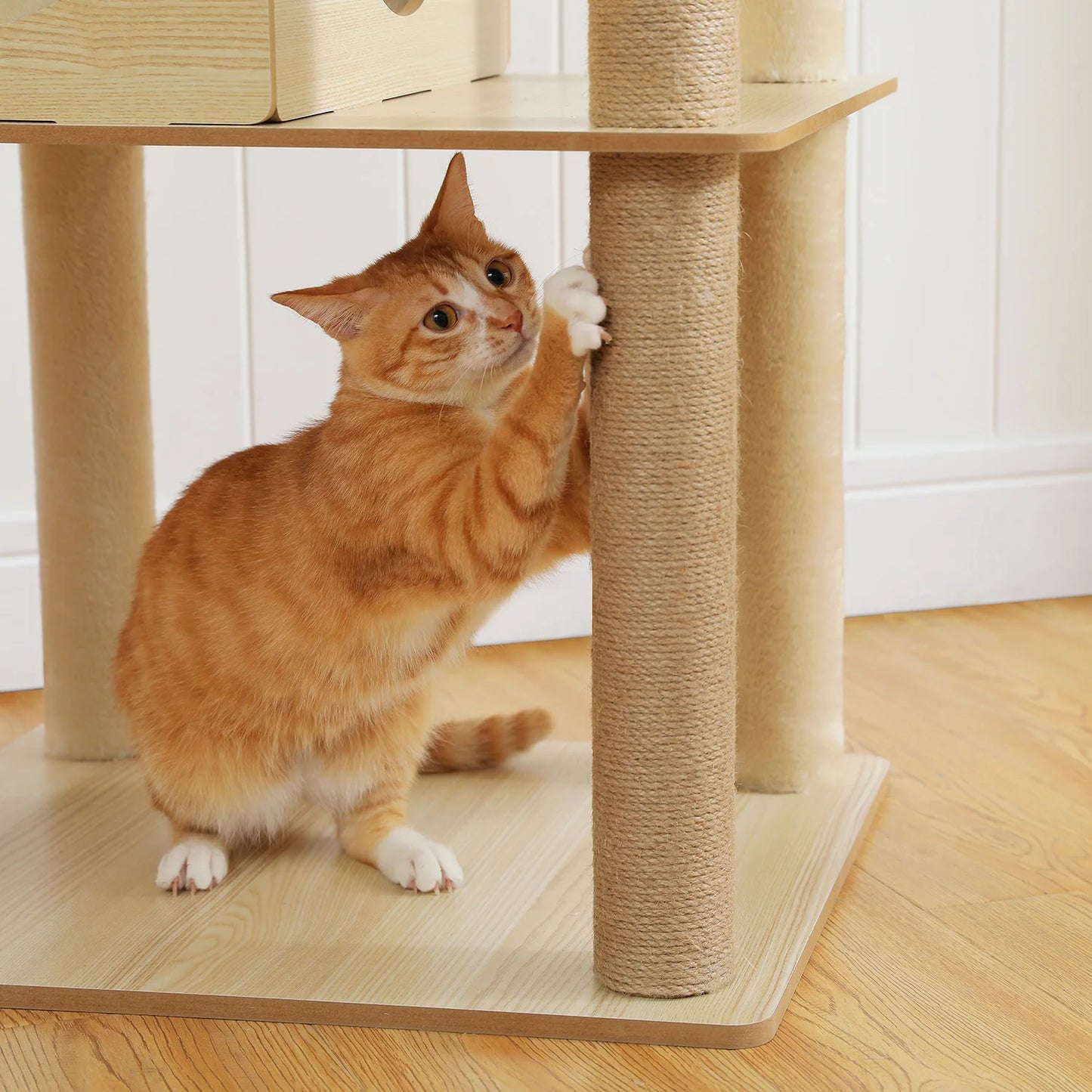 Tour en bois multi-niveaux pour chats d’intérieur – Maison spacieuse, hamac, perchoir, griffoirs en sisal et jouets intégrés
