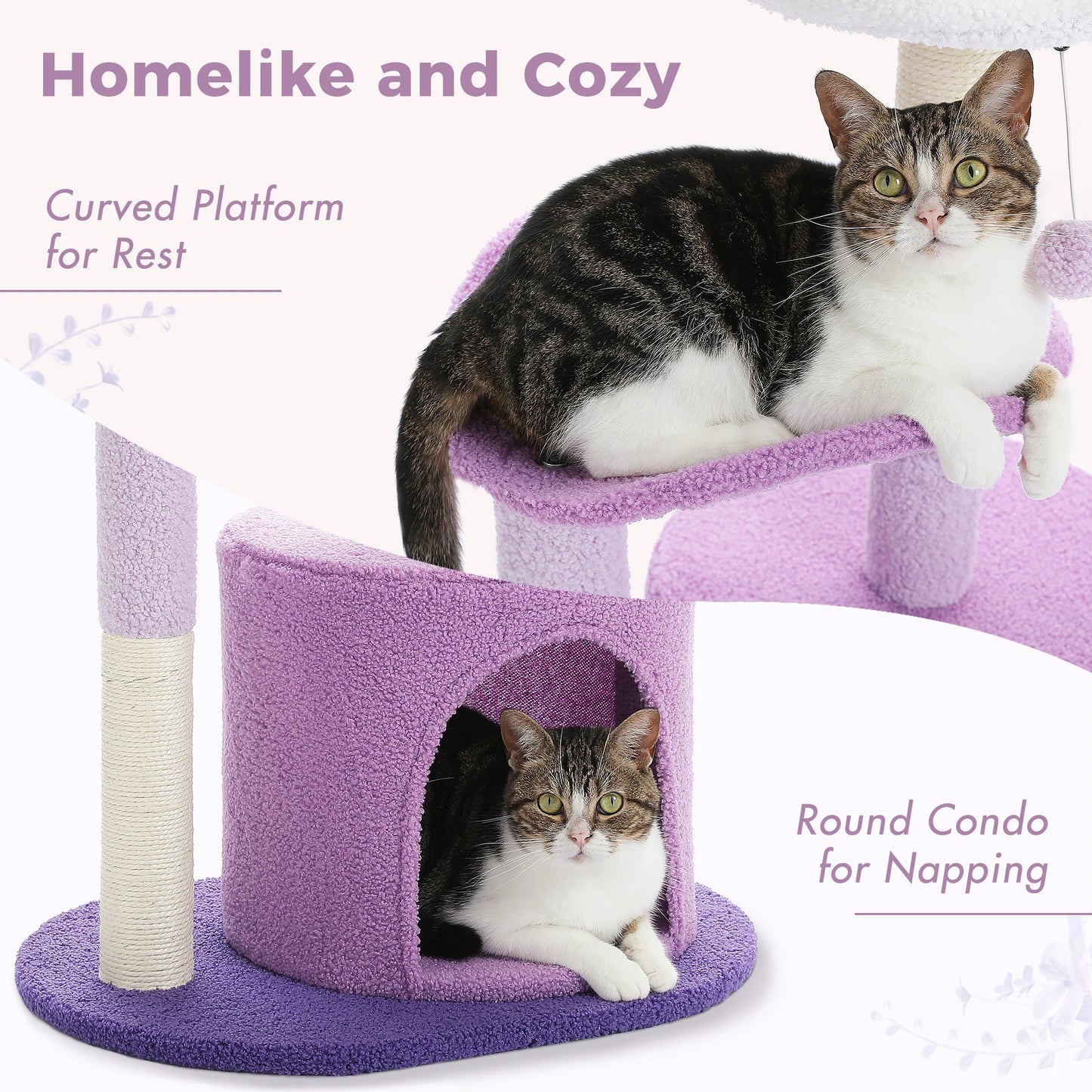 Arbre à chat en forme de cactus – Tour compacte avec condo douillet, perchoir incurvé, coussin amovible, griffoirs en sisal et jouets intégrés