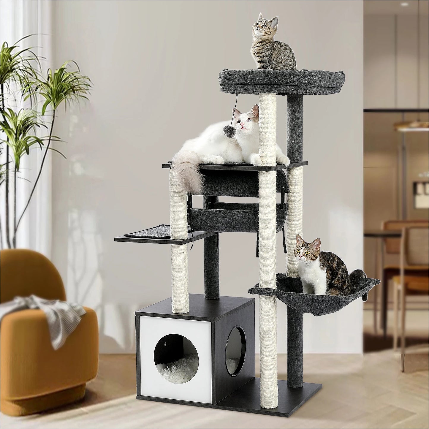Arbre à chat moderne en bois pour chats d’intérieur – Tour avec condo douillet, hamac suspendu, tunnel de jeu, griffoirs en sisal et jouets intégrés