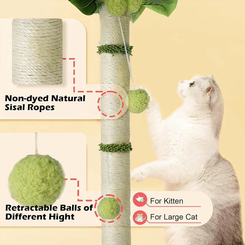 Griffoir Palmier pour chat